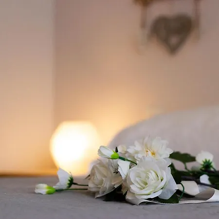 Temporary Silvi 5 Сильви-Марина