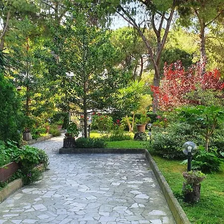 Temporary Silvi 5 Апартаменты