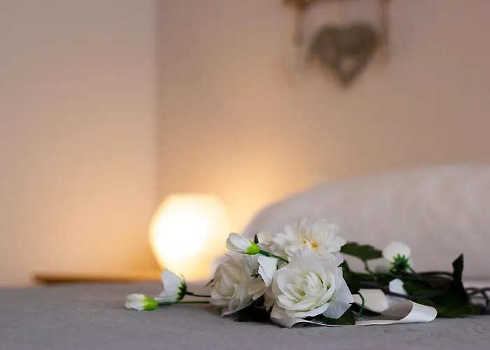 Temporary Silvi 5 Silvi Marina